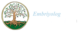 ender yalcinkaya logo darkmode