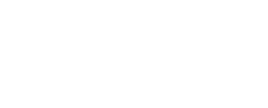 preply logo darkmode